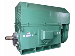YJTFKK6301-4YKK系列高压电机